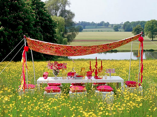 http://parties-and-picnics.org/wp-content/uploads/2012/11/idei-dlya-piknika-foto-8.jpg