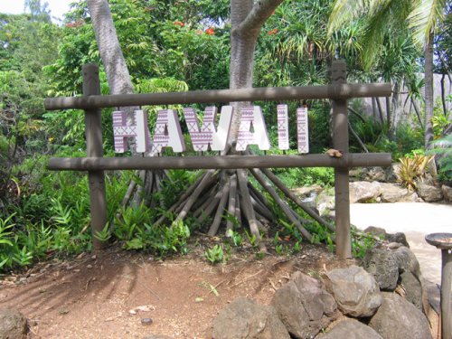 Гавайская вечеринка на природе